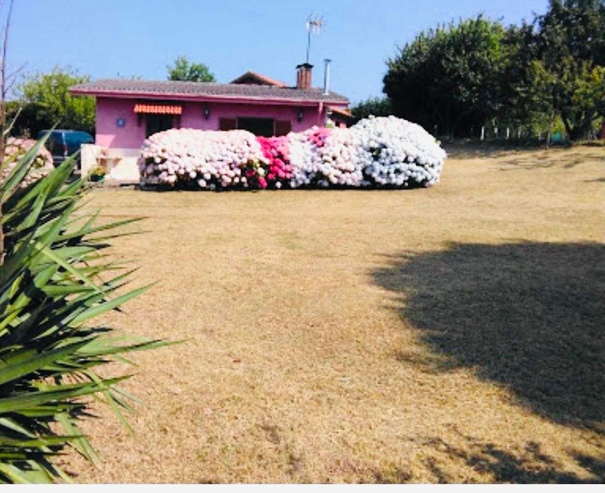 Garden of House or chalet for sale in Villaviciosa  with Heating, Private garden and Terrace