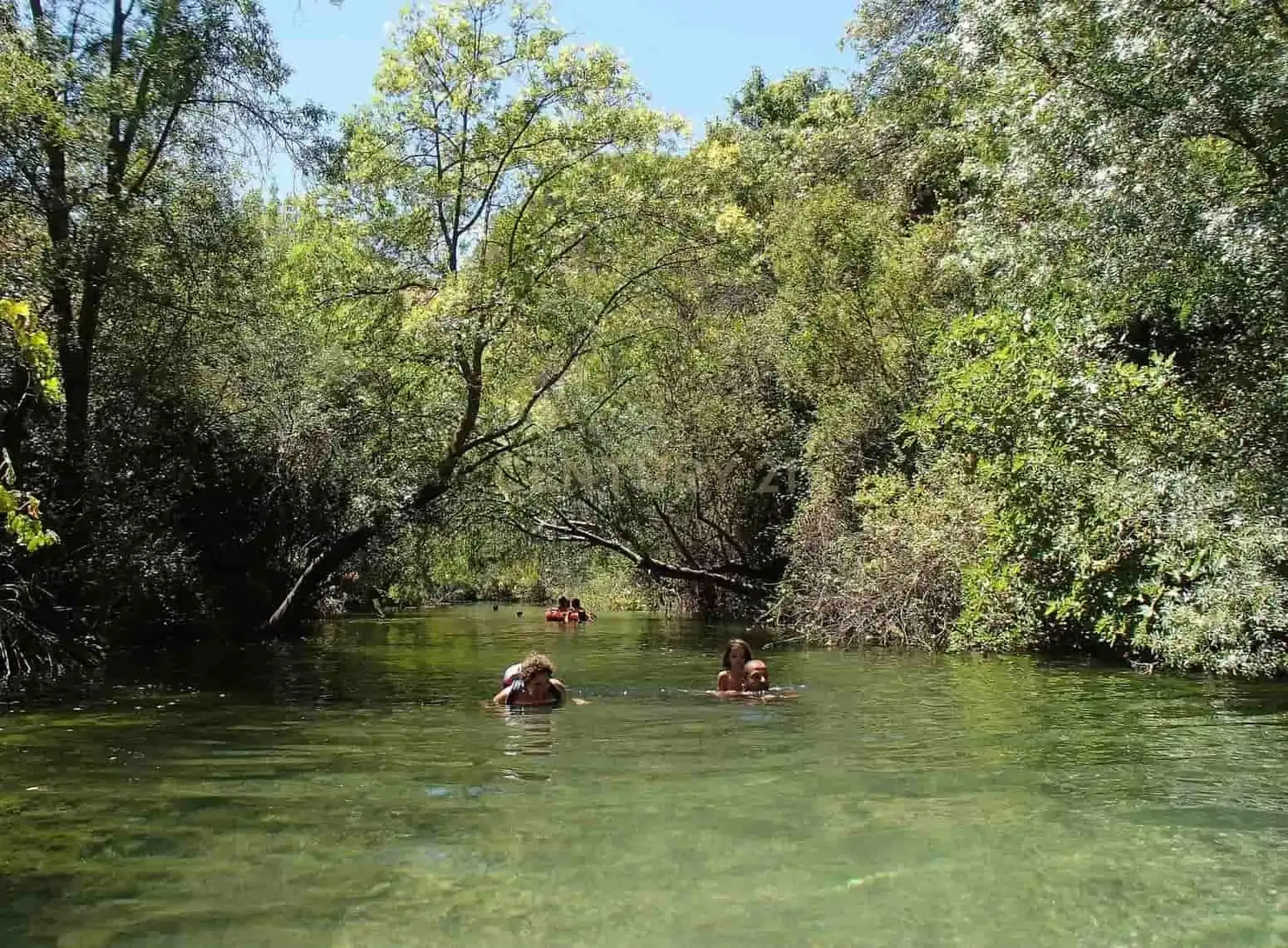 Piscina de Casa o xalet en venda en El Burgo