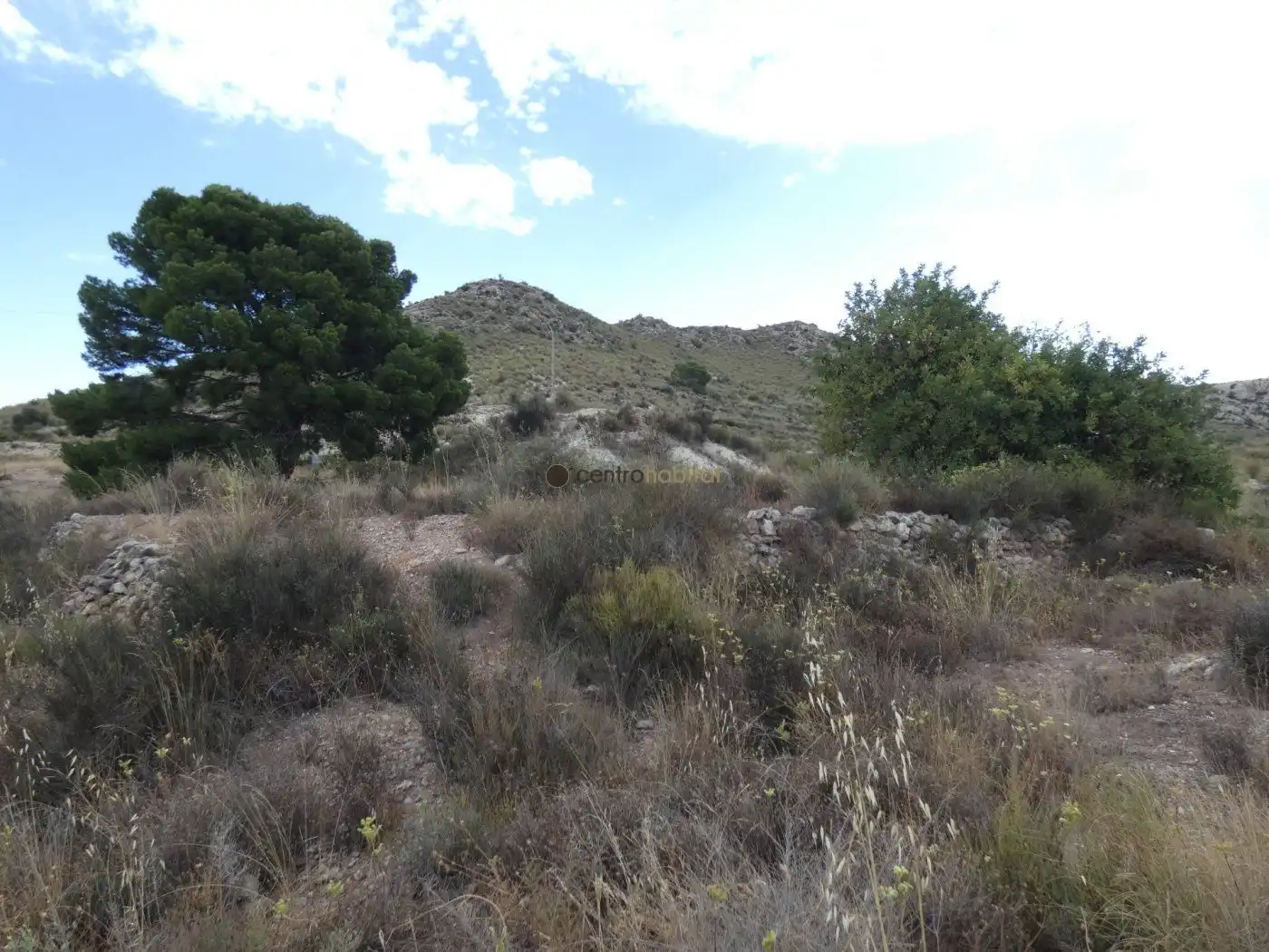 Terreno rustico in vendita a Petrer, imagen 4