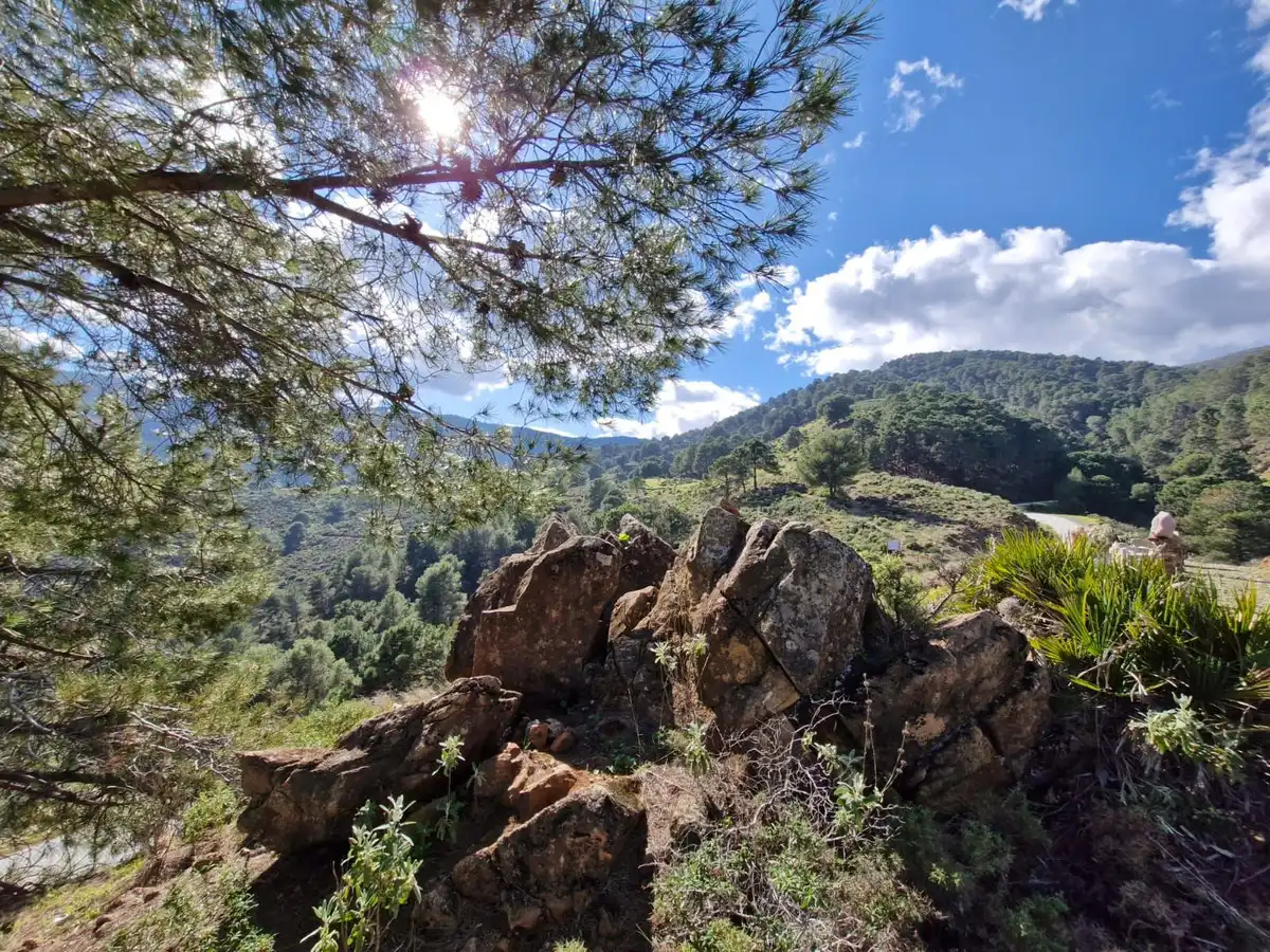 Vista exterior de Finca rústica en venda en Tolox amb Jardí privat, Terrassa i Piscina