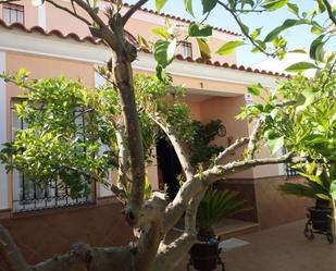 Jardí de Casa o xalet en venda en Peñarroya-Pueblonuevo amb Aire condicionat, Jardí privat i Traster