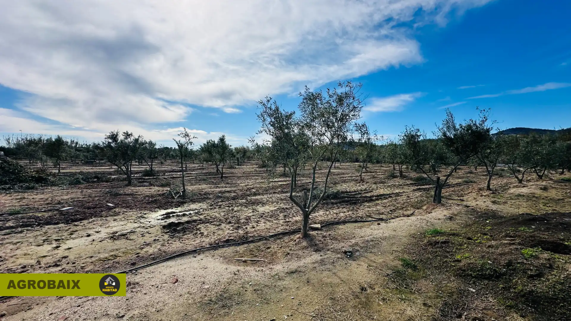 Land for sale in Sant Joan Despí