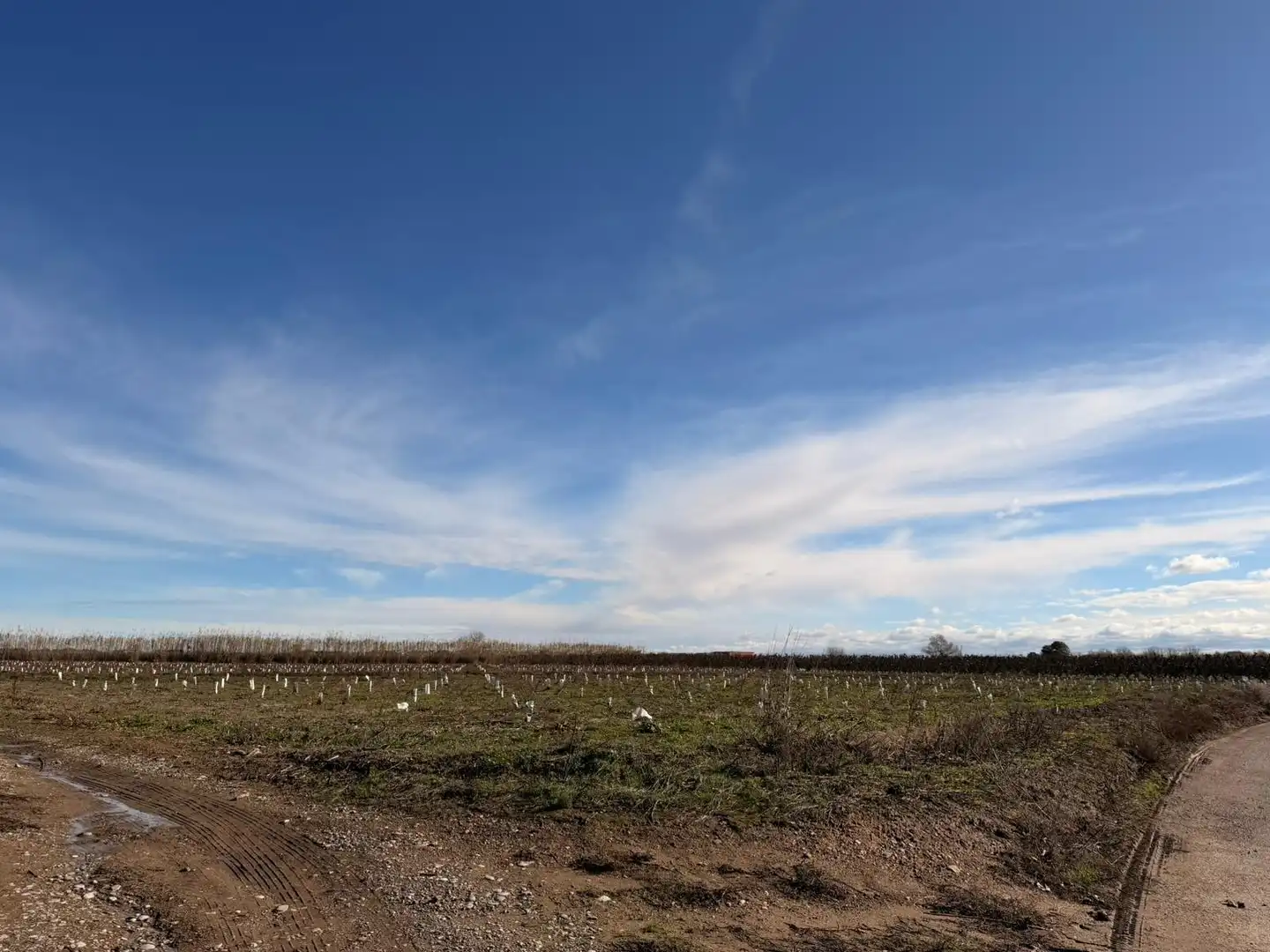 Terreno rustico in vendita a Corbins, imagen 4