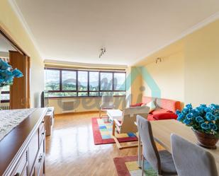 Sala d'estar de Pis de lloguer en Oviedo  amb Calefacció, Parquet i Terrassa
