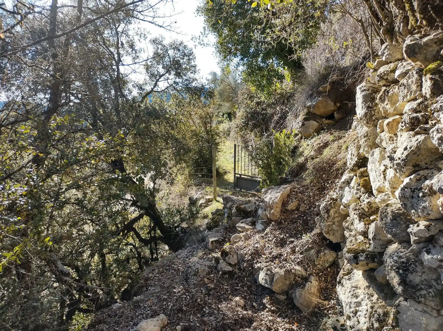 Casa o chalet en venta en San Miguel del Cinca