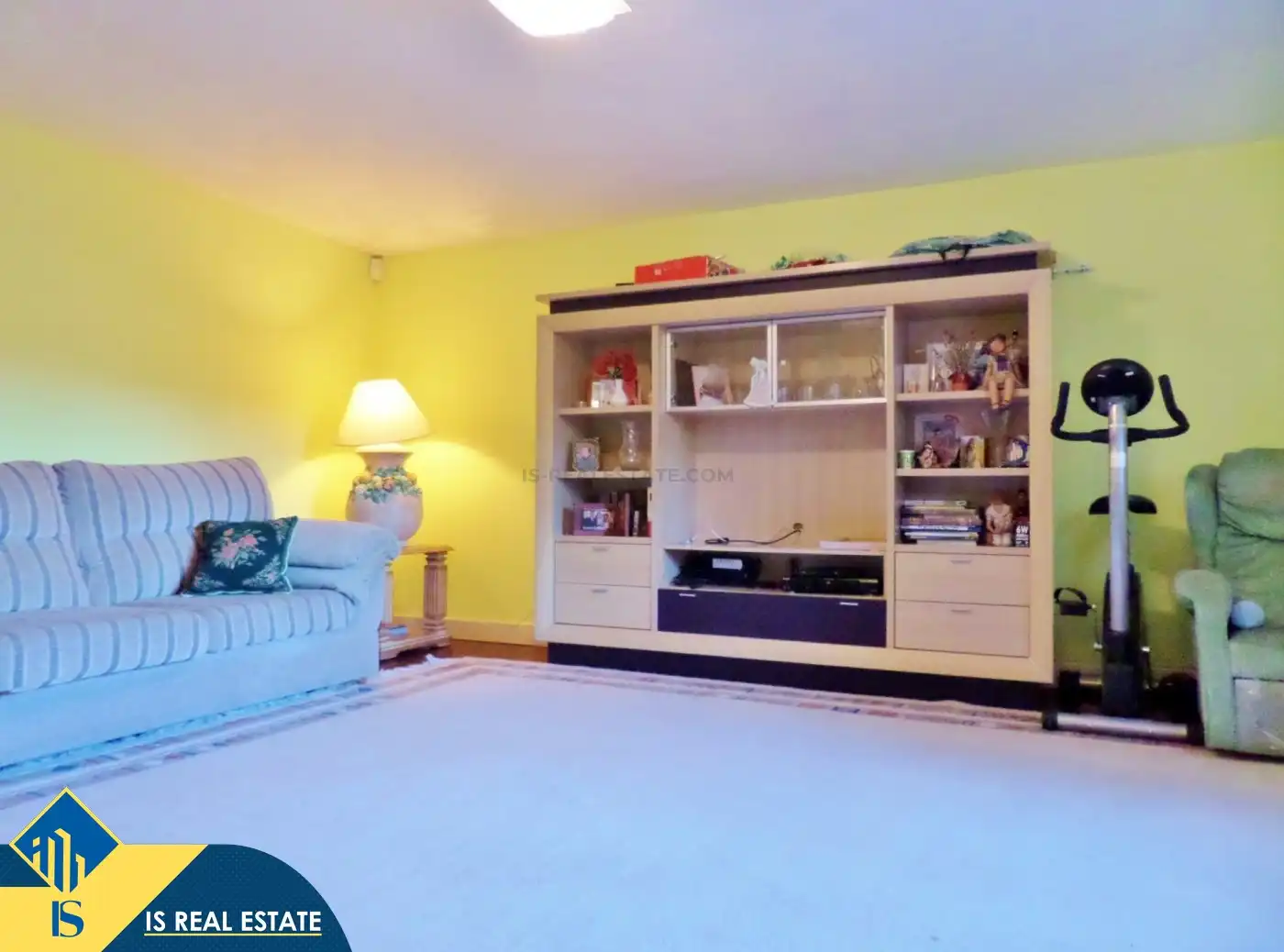 Living room of Houses for sale in Alicante / Alacant  with Terrace, Swimming Pool and Furnished