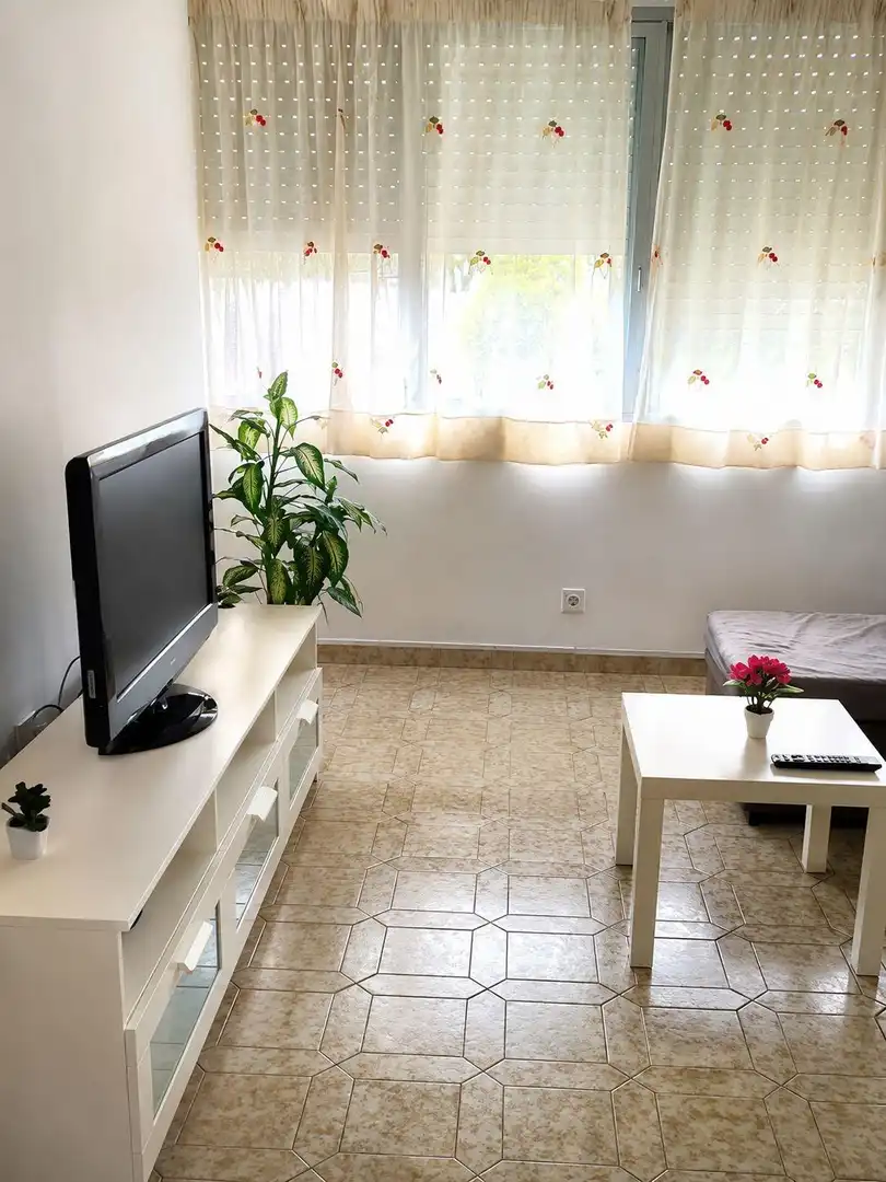Sala d'estar de Apartament de lloguer en Valencia