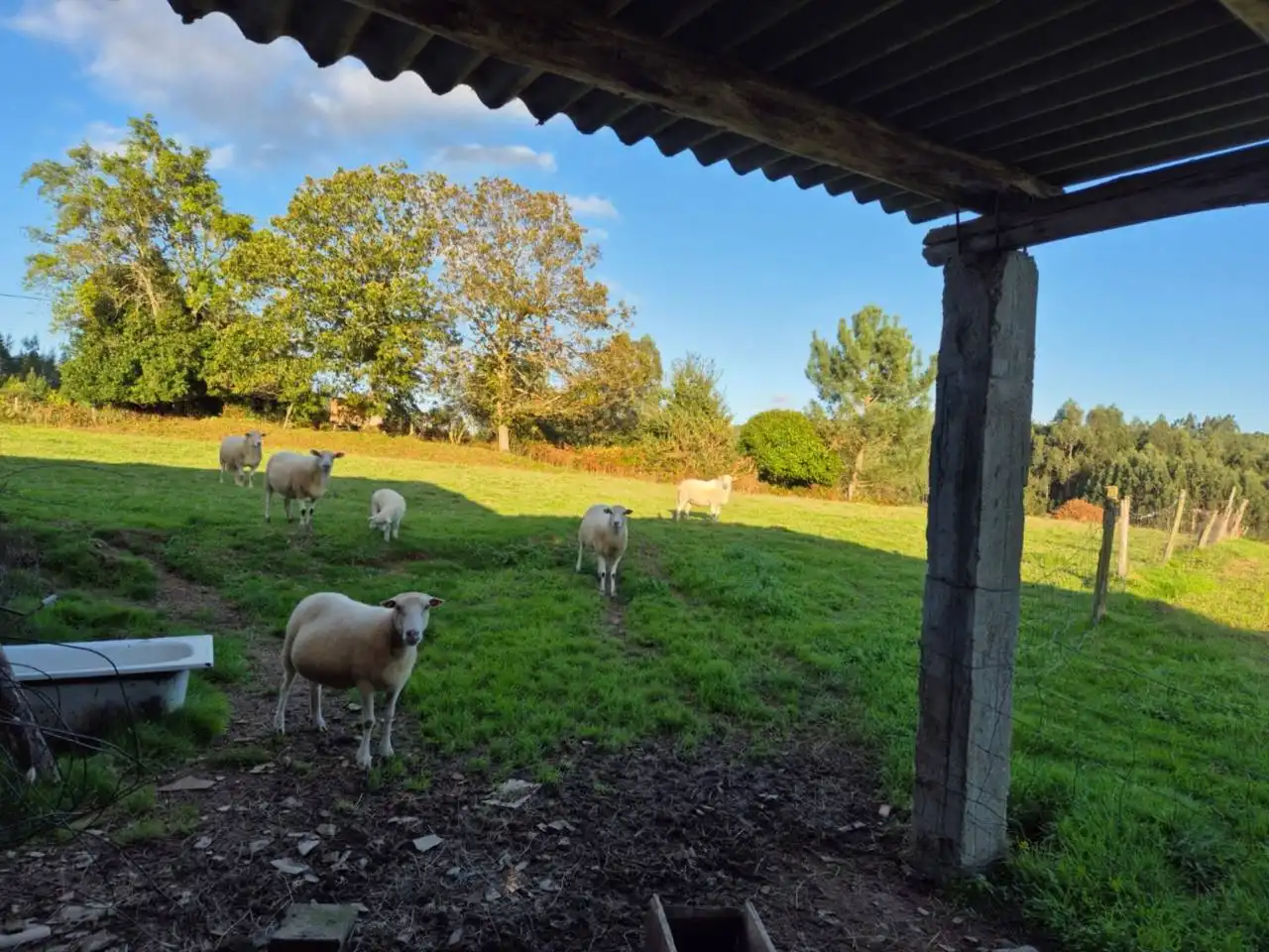 Vista exterior de Casa o chalet en venta en Oza dos Ríos con Calefacción y Jardín privado