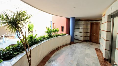 Foto 3 von Büro zum Verkauf in Puerto Banús, Marbella