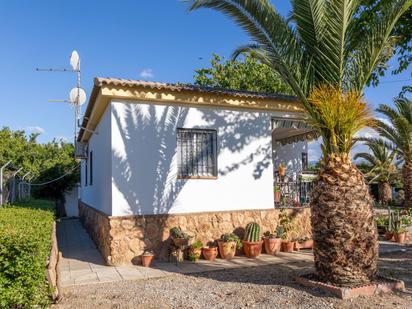 House or chalet for sale in Guadix