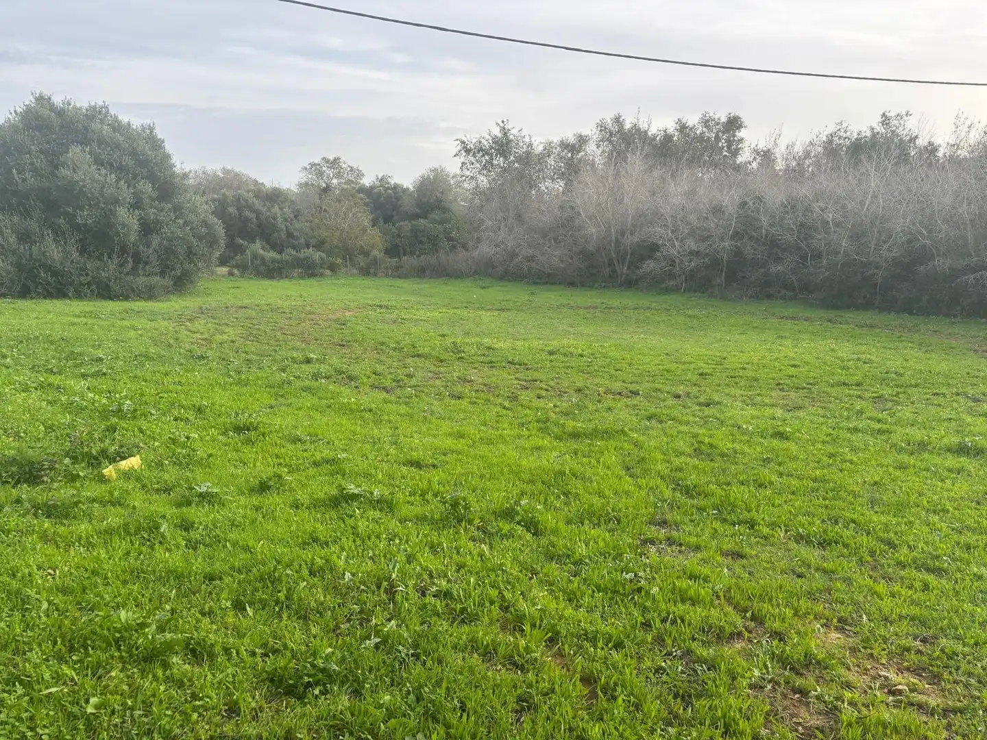 Terreno en venta en Vejer de la Frontera