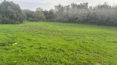 Foto 5 de Terreno en venta en La Muela, Vejer de la Frontera