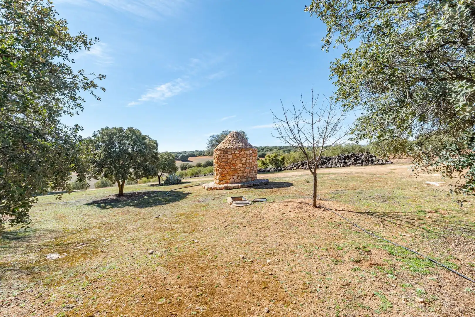 Finca rústica en venta en Polígono Polígono 123 Paraje 187 TERCERO, 18, Argamasilla de Alba