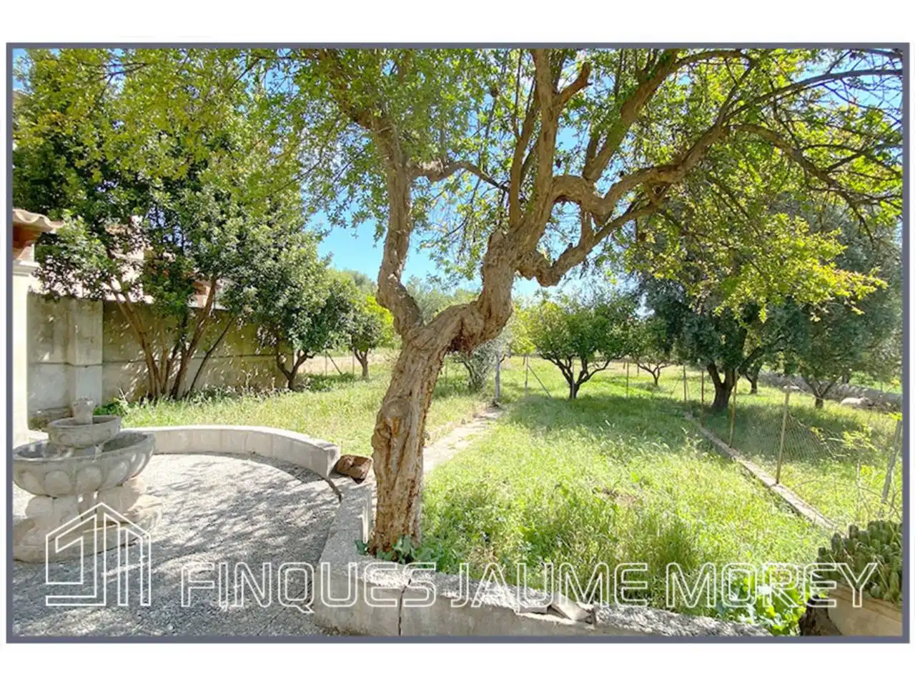 Maison avec piscine à vendre à Calle Discòrdia sn, imagen 11