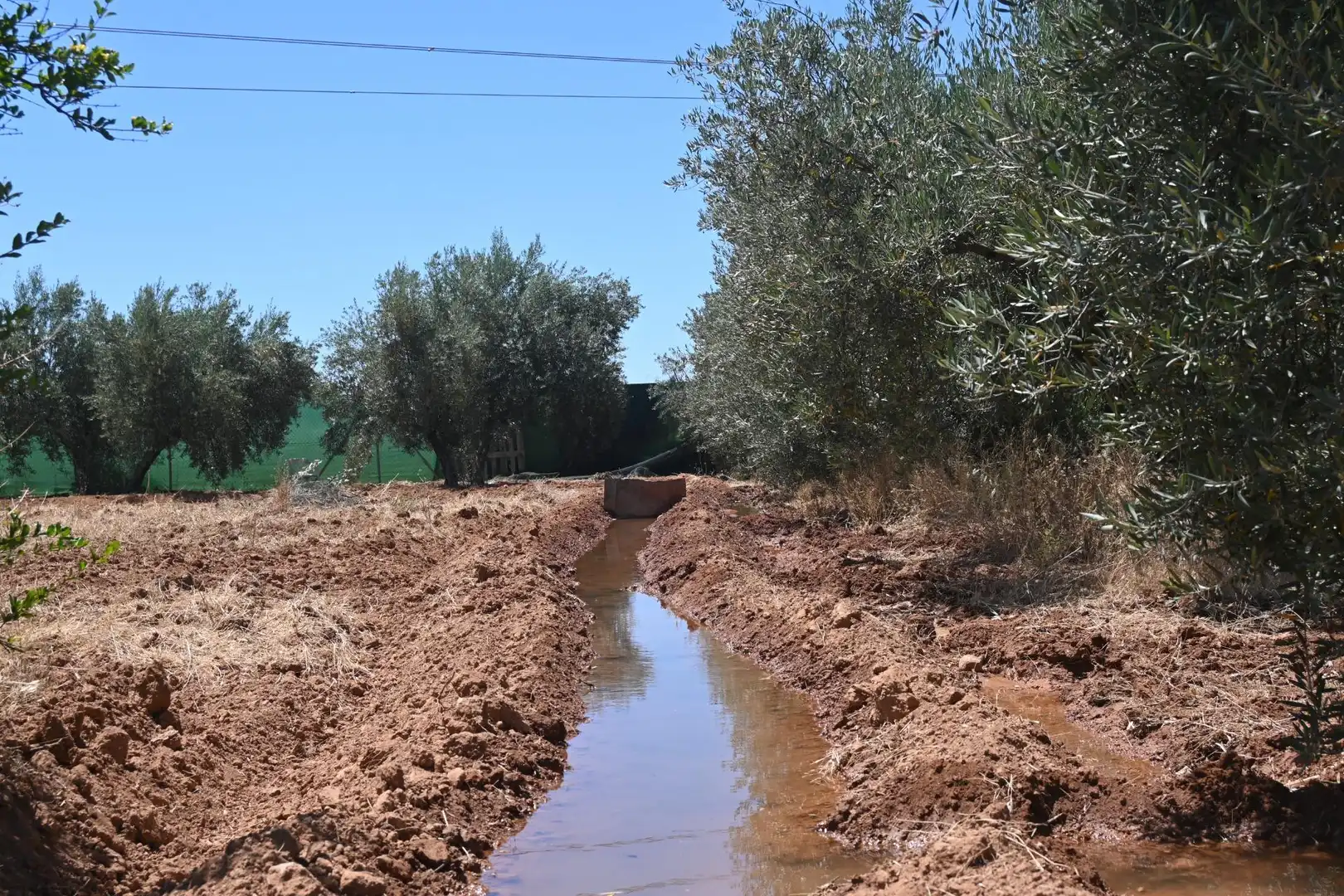 Terreni e lotti in vendita a Albolote, imagen 7