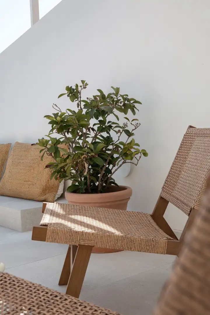 Jardín de Apartamento en venta en Cas Català - Illetes