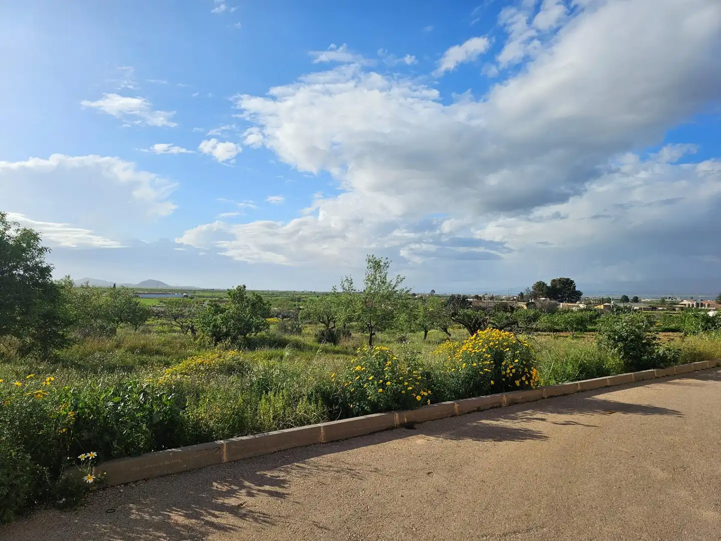 Piso en venta en Fuente Álamo de Murcia