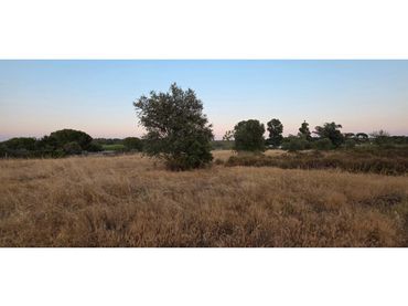 Terreny residencial en venda a Villablanca
