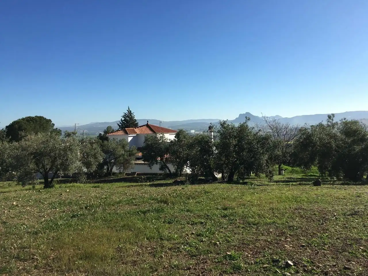 Casa rústica amb jardí en venda a Bobadilla - Bobadilla Estación - La Joya, imagen 5