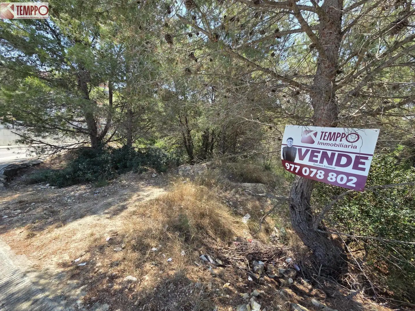 Terreny residencial en venda a Carrer de la Violeta