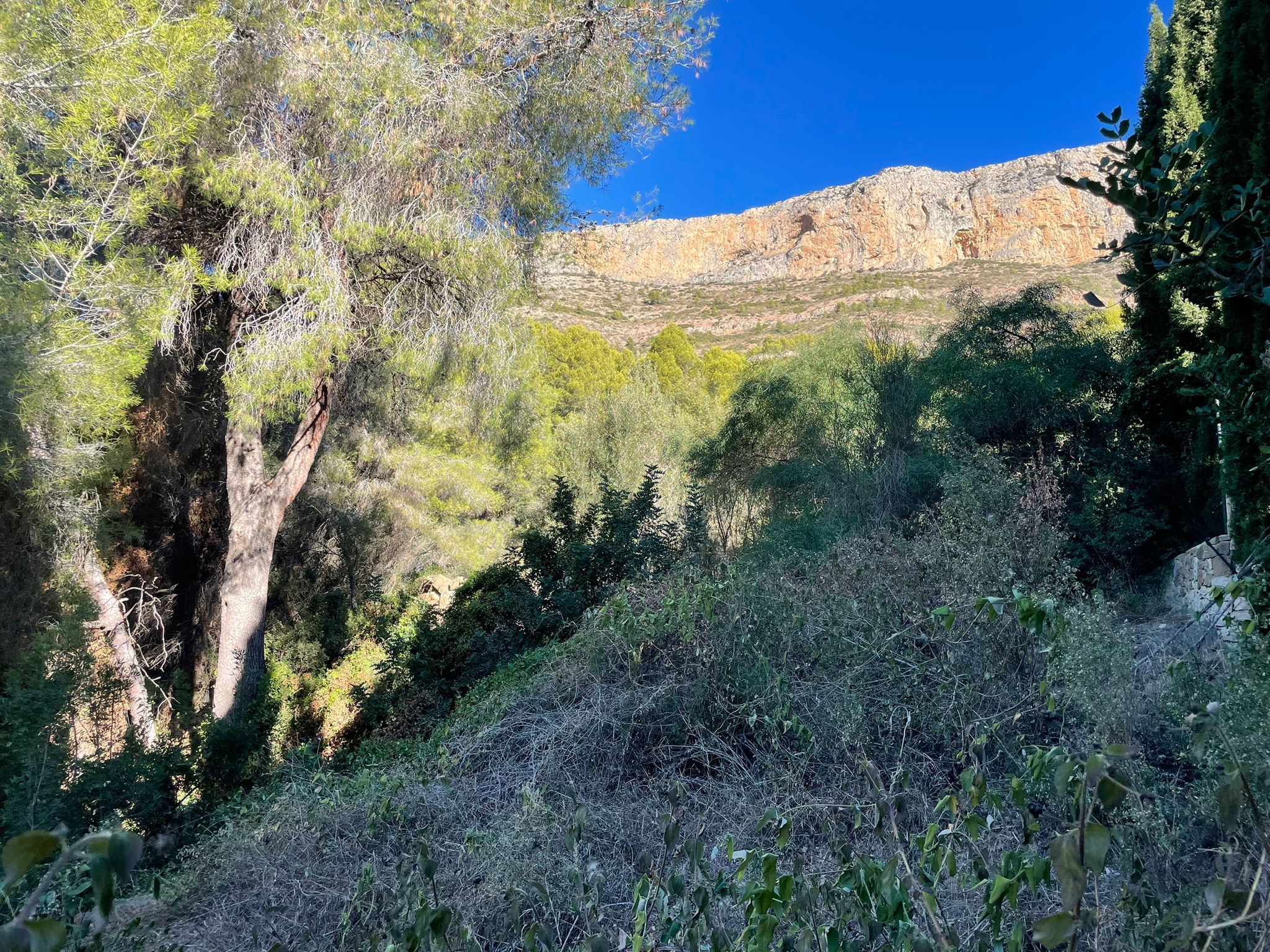 Vista exterior de Residencial en venta en Jávea / Xàbia