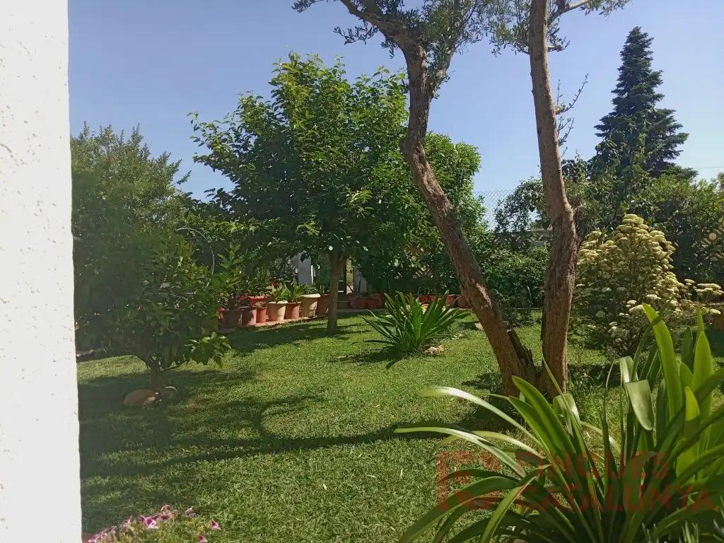 Jardí de Casa o xalet en venda en Vilobí d'Onyar