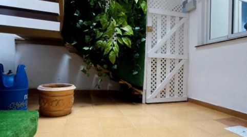 Foto 2 de Piso de alquiler en Calle la Palma, -1, Taco - Los Andenes - Las Chumbreras, San Cristóbal de la Laguna