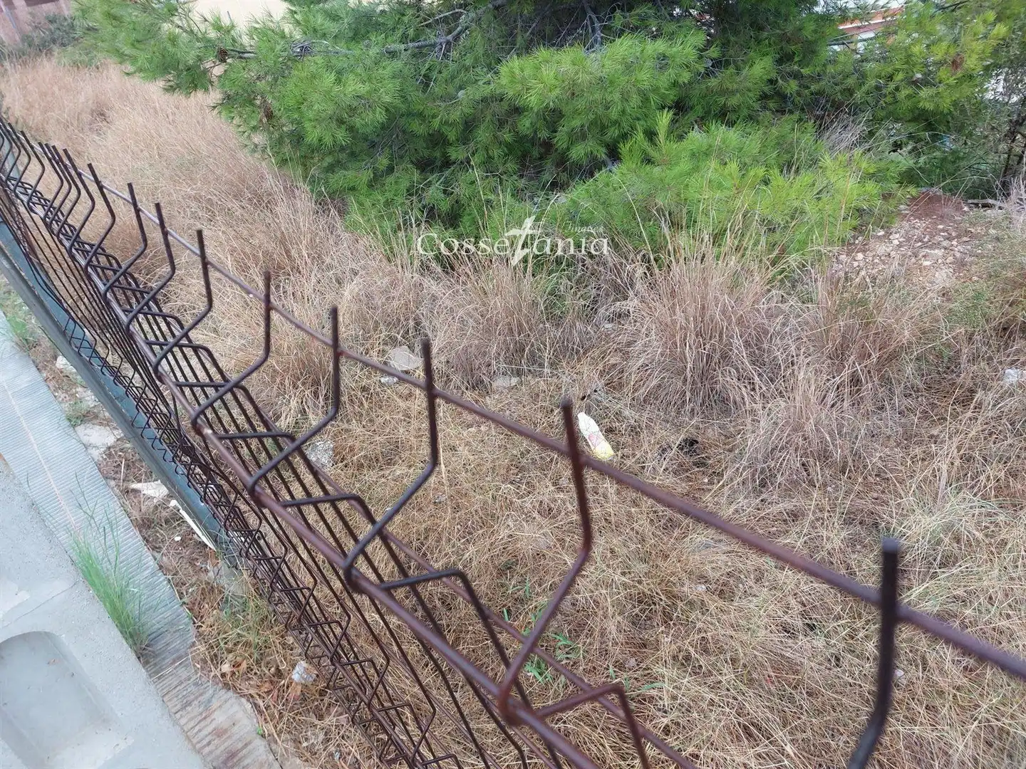 Terreno rustico in vendita a COSTES DEL GARRAF, imagen 7