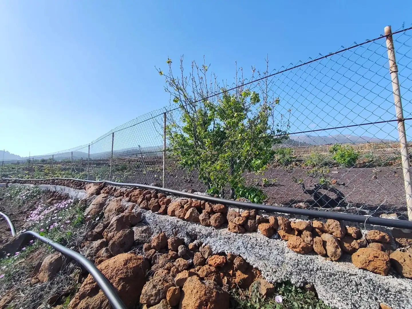 Terreno en venta en Vilaflor de Chasna