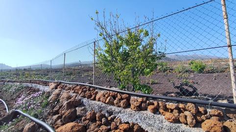 Foto 5 de Terreno en venta en Vilaflor de Chasna, Santa Cruz de Tenerife