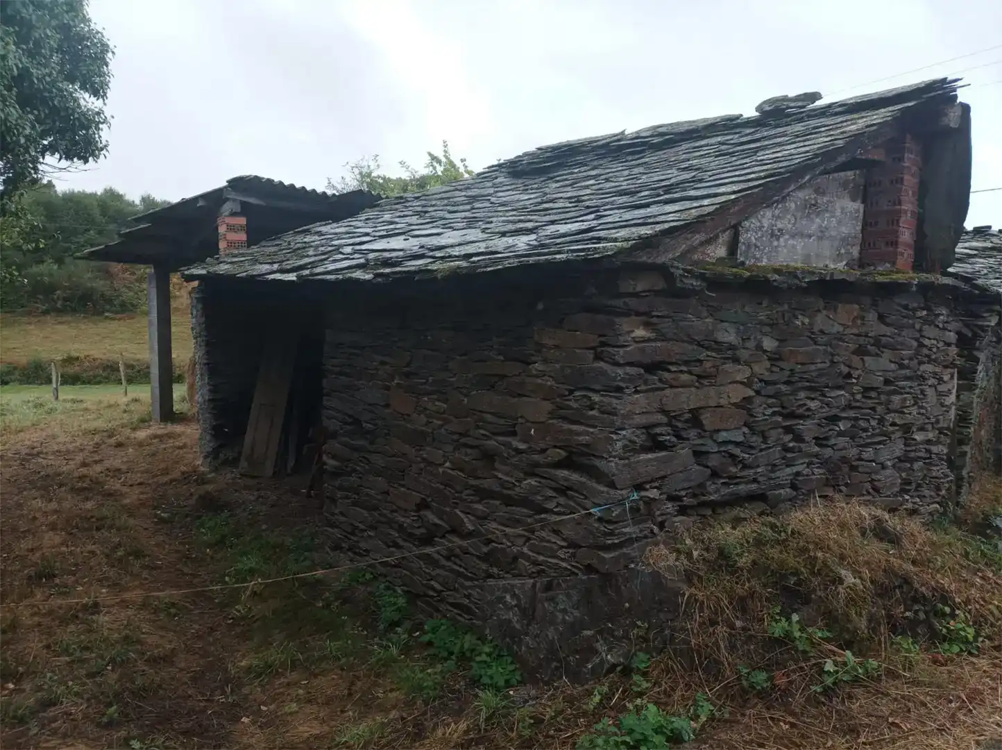 Vista exterior de Planta baixa en venda en Grandas de Salime amb Jardí privat