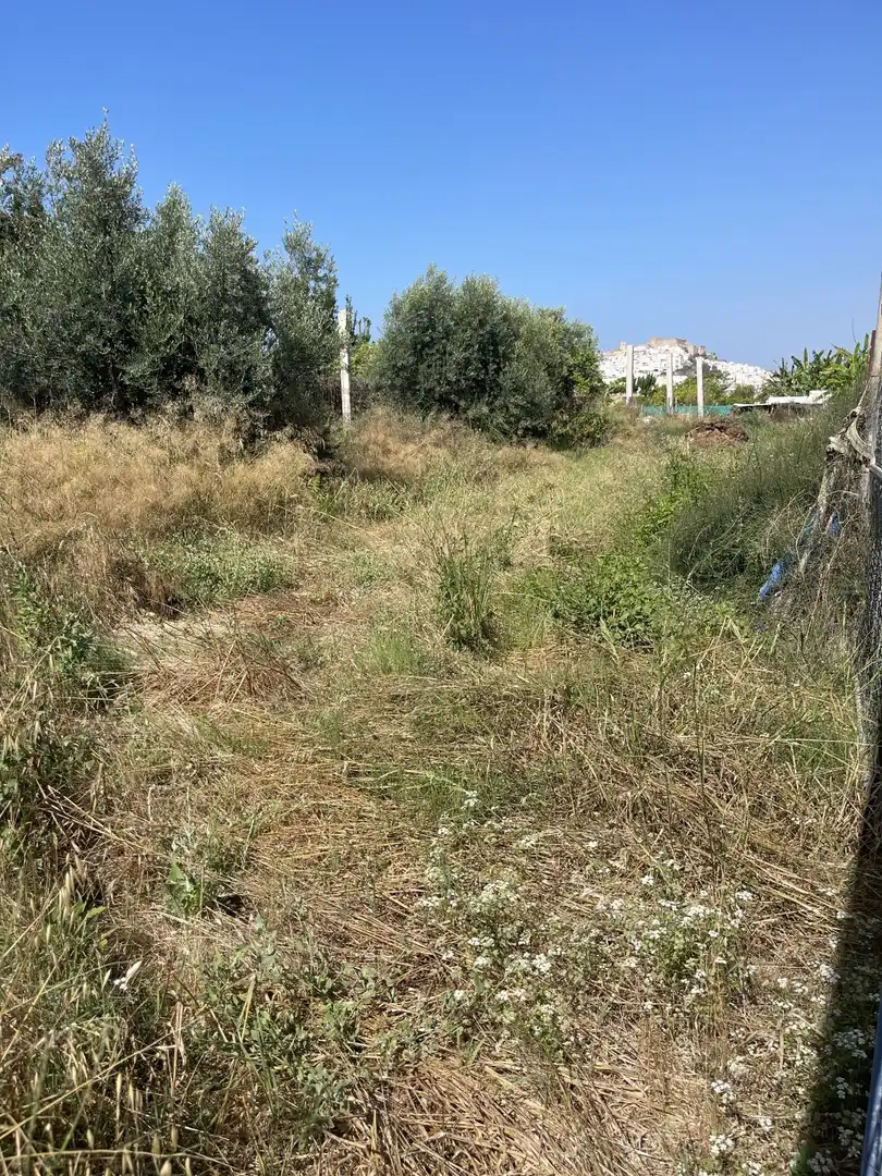 Finca rústica en venta en Salobreña