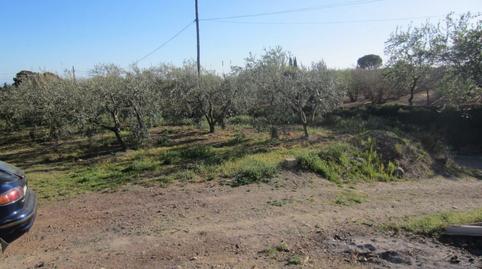 Photo 4 of Country house for sale in La Selva del Camp, Tarragona