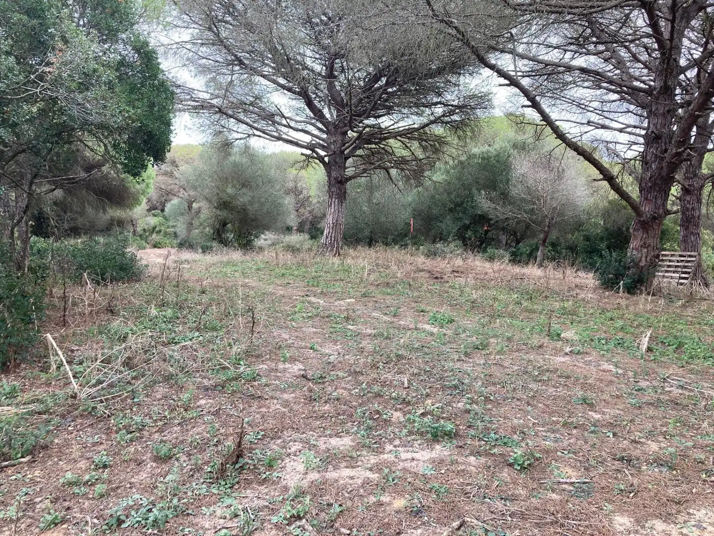 Grundstücke und Bauplätze zum Verkauf in Vejer, imagen 6