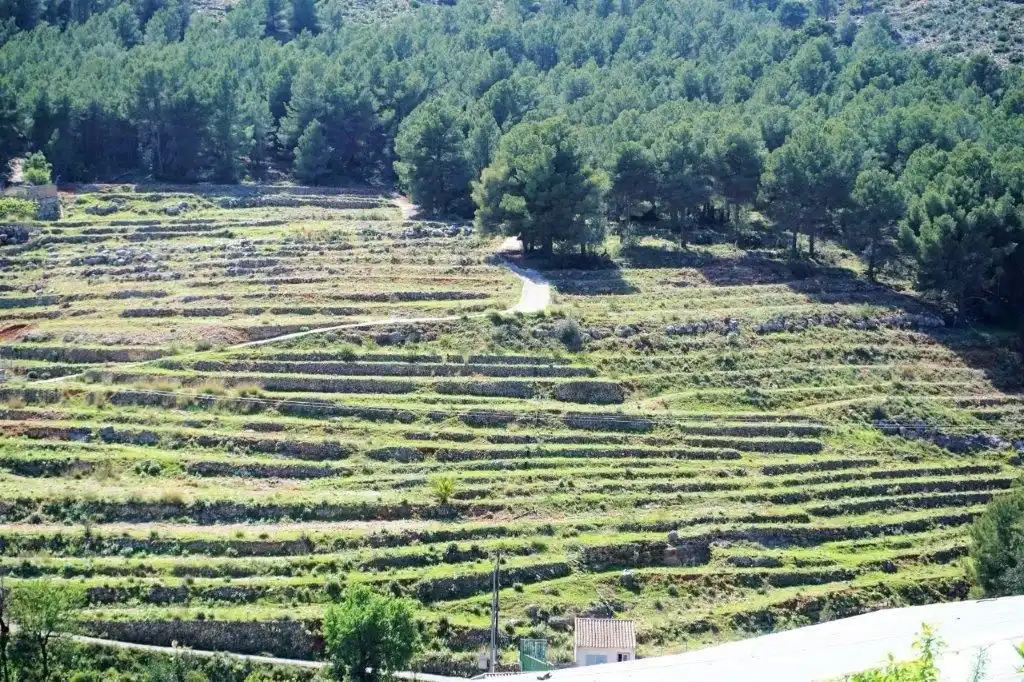 Terreny residencial en venda a Callosa d'en Sarrià, imagen 48