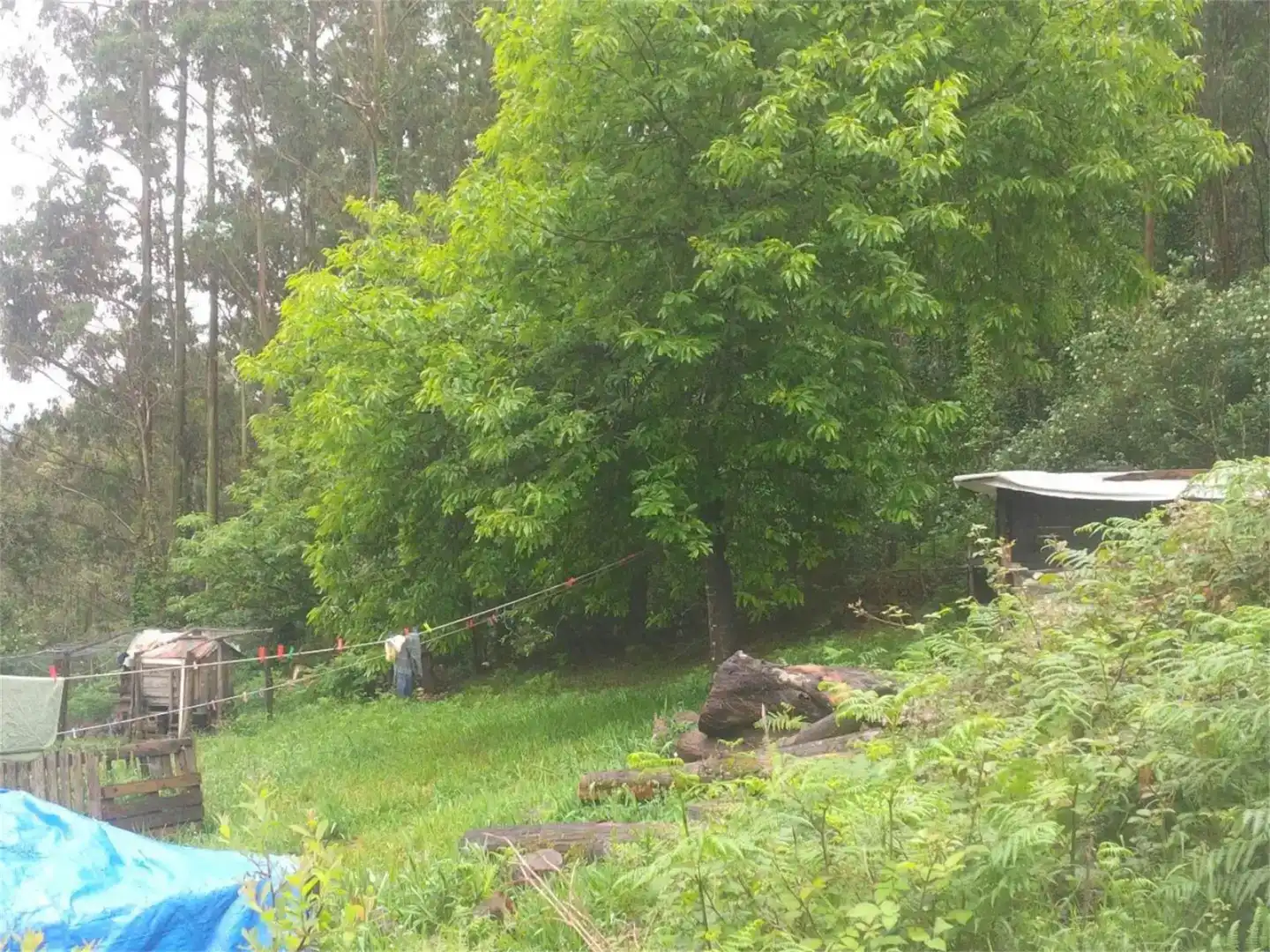 Jardí de Finca rústica en venda en Cedeira