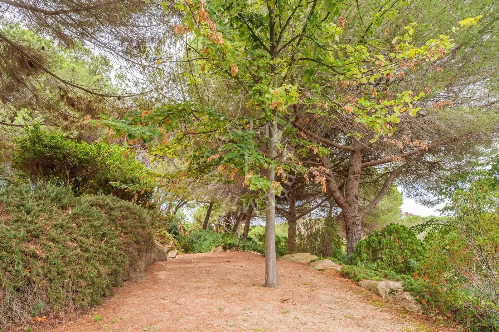 Casa en venda a Mare de Deu del Pilar, imagen 12