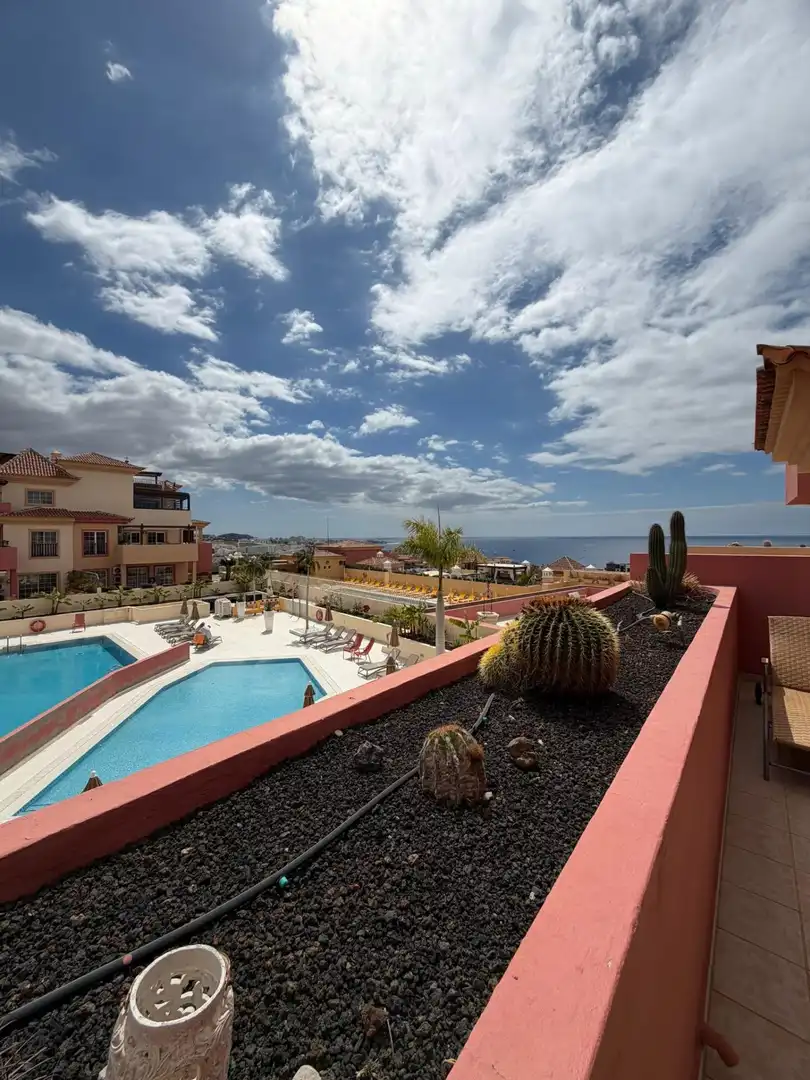 Vista exterior de Apartamento en venta en Adeje con Jardín privado y Piscina comunitaria