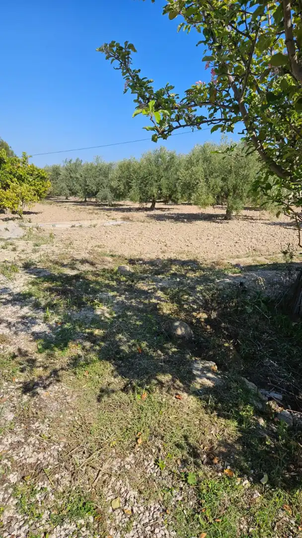 Finca rústica en venda en Villajoyosa / La Vila Joiosa