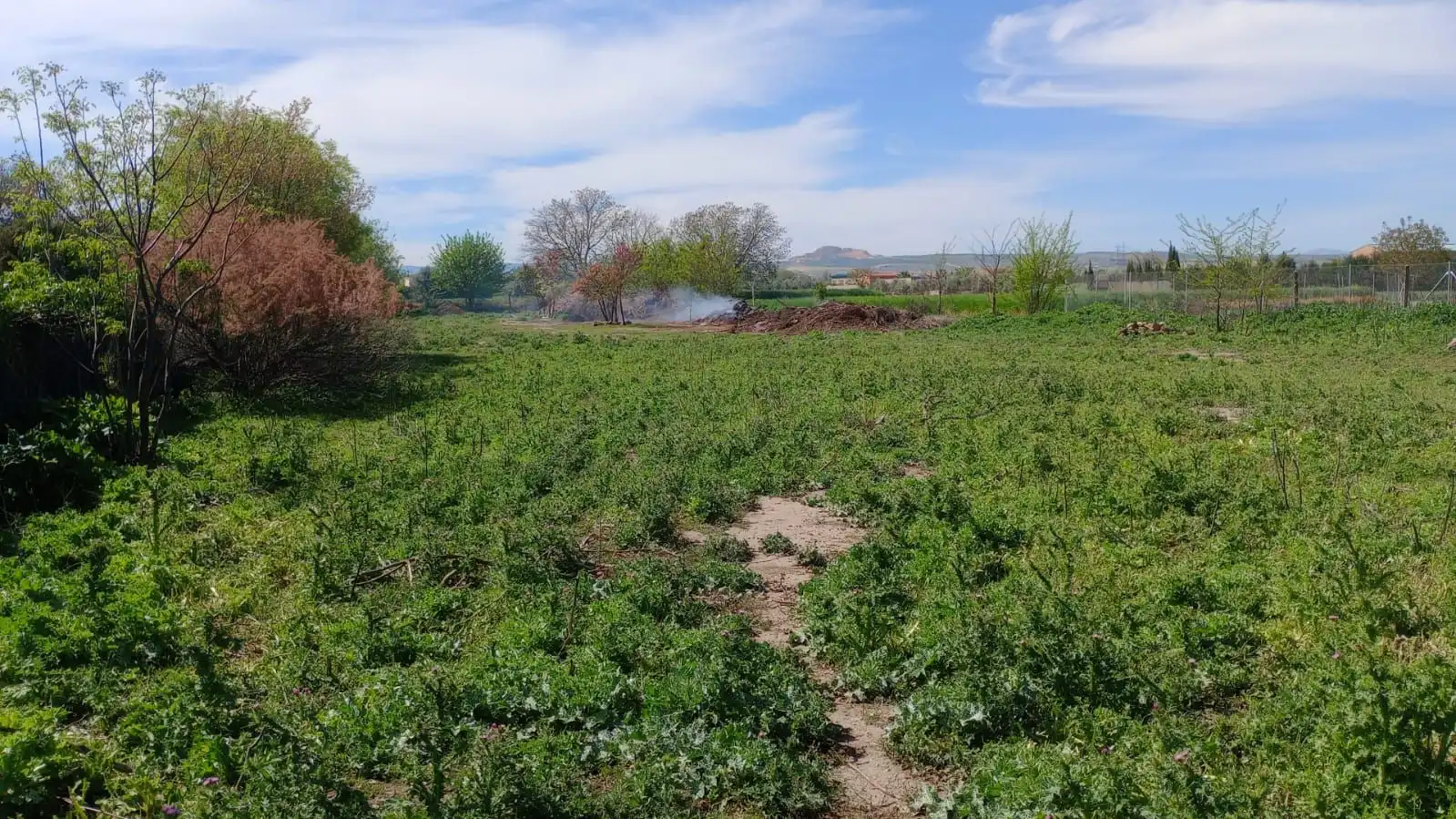 Terrenos y solares en venta en Casco Histórico, imagen 8