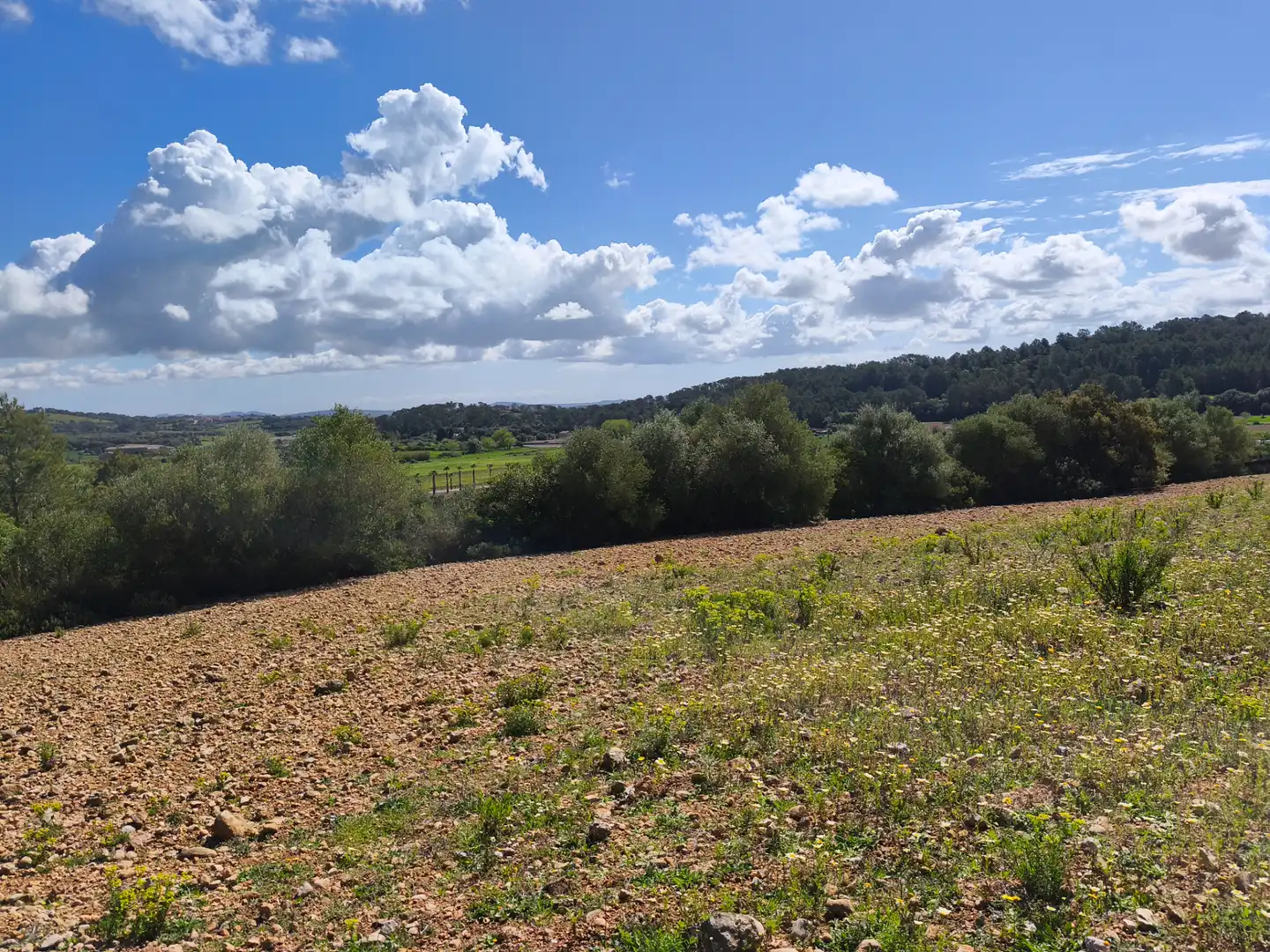 Terrain rustique à vendre à Carrer del Consistori 2, imagen 7
