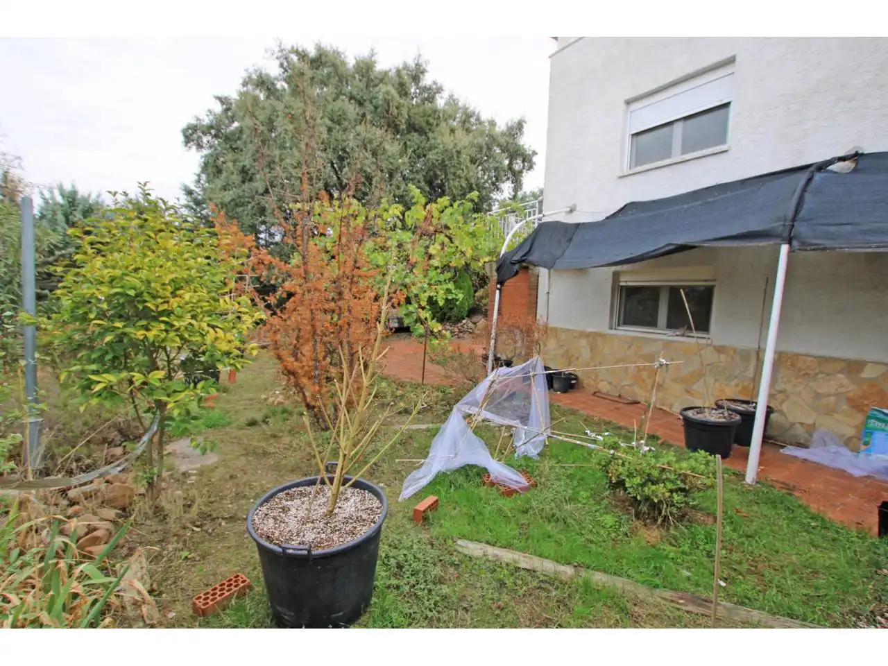 House with garden for sale in Calle Juan Ramón Jiménez, imagen 6