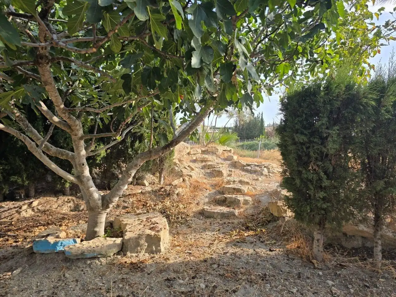 Reihenhaus mit Garten zum Verkauf in Calle de las Arboledas, imagen 57