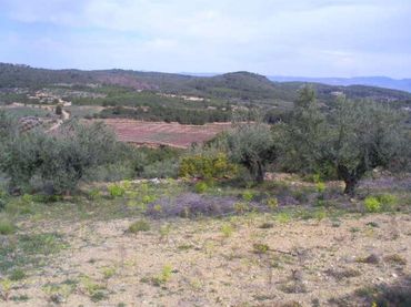 Terreno residenziale in vendita a Loma (La)