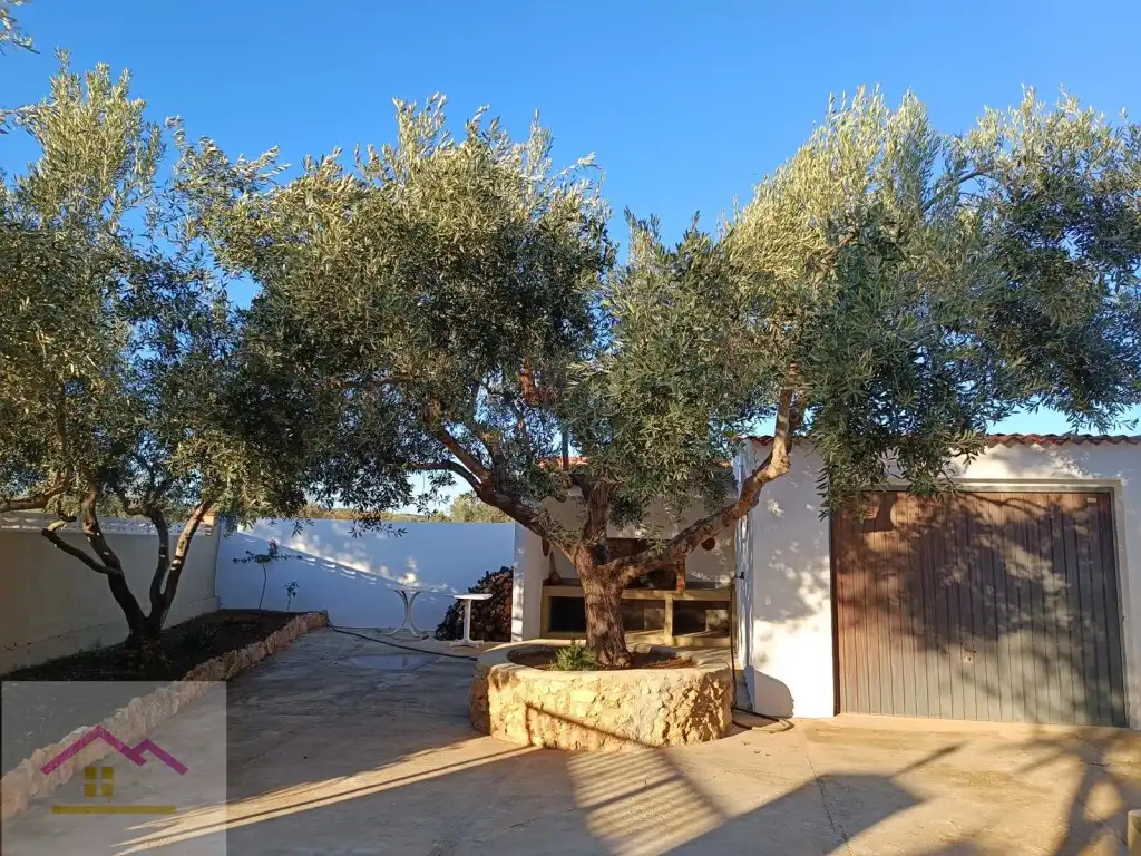 Finca rústica en venda a Calle Poligono 13, Torreblanca