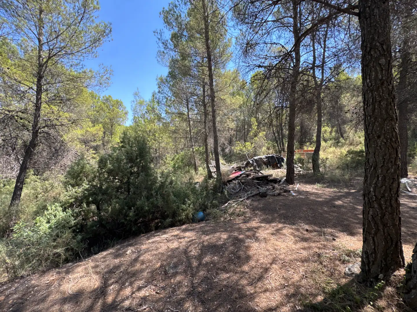 Rural land for sale in N/A, imagen 44