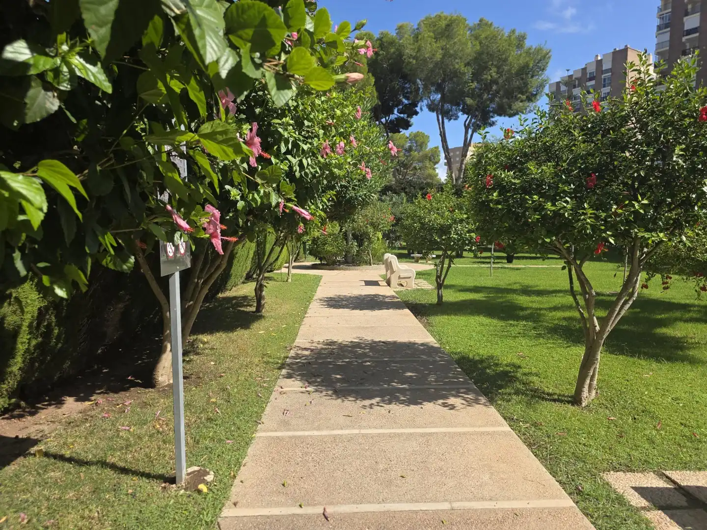 Apartments for rent in Calle GABRIEL Y GALAN-CMOR, Campoamor