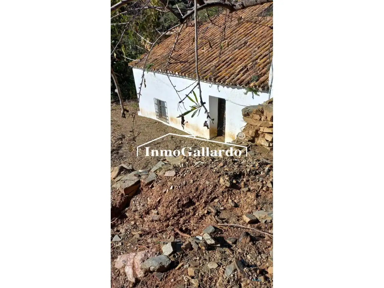 Casa rústica en venta en Este, imagen 8