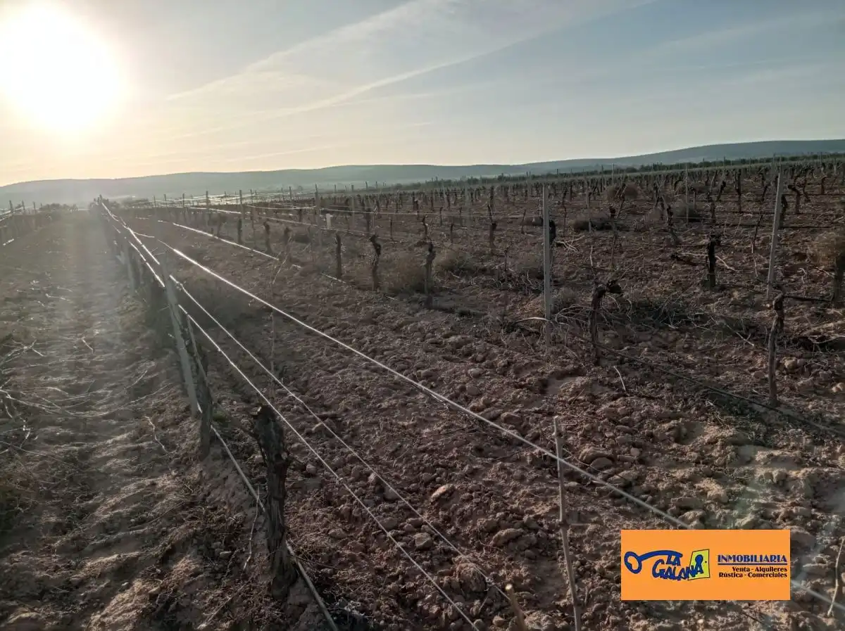 Rural land for sale in Valdepeñas, imagen 9