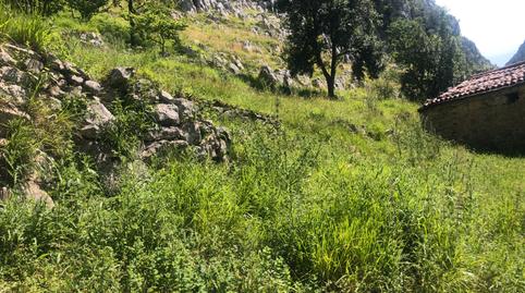 Foto 4 de Finca rústica en venta en Barrio Mortesante, 17, Miera, Cantabria